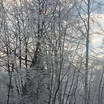 Résidence Le Platé Appartement