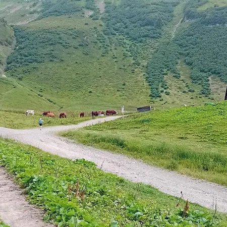 Résidence Le Platé Appartement Les Carroz d'Arâches