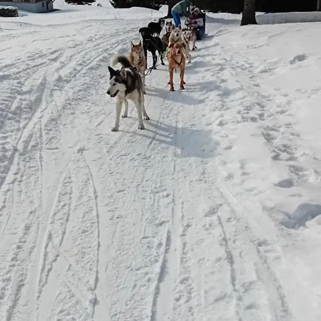 Résidence Le Platé Les Carroz d'Arâches